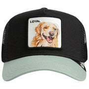 goorin-bros-the-loyal-dog-trucker-hat---void-black-35923136