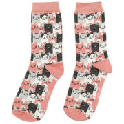 miss-sparrow-london-3-pack-happy-cats-sock-box---pinkblue-34596476