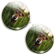 Bassin and Brown Dog in the Long Grass Cufflinks - Green/Brown
