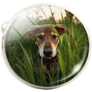 Bassin and Brown Dog in the Long Grass Cufflinks - Green/Brown