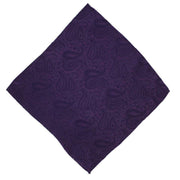 Michelsons of London Tonal Polyester Paisley Pocket Square and Tie Set - Purple